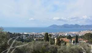 Événementiel Propriété Cannes