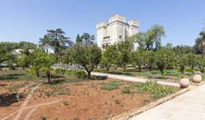 Événementiel Propriété Cannes