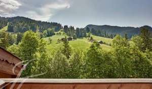 Location Appartement Gstaad