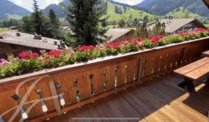 Location Appartement Saanen