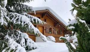 Location Chalet Saanen