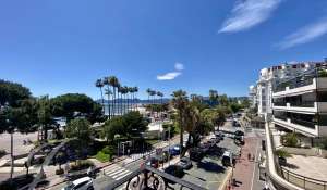 Location saisonnière Appartement Cannes