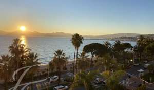 Location saisonnière Appartement Cannes