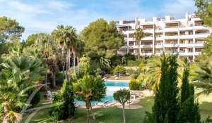 Vente Appartement Cala Llenya