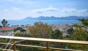 Vente Appartement Cannes