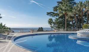 Vente Appartement Cannes