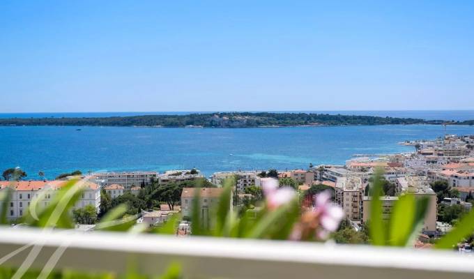 Vente Appartement Cannes