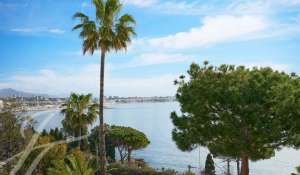 Vente Appartement Golfe-Juan