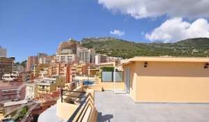 Vente Appartement Monaco