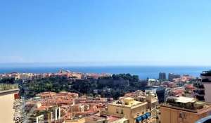 Vente Appartement Monaco