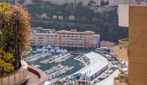 Vente Appartement Monaco