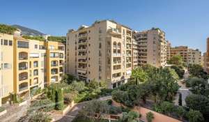 Vente Appartement Monaco