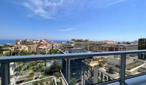 Vente Appartement Monaco