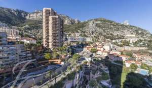 Vente Appartement Monaco