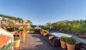 Vente Appartement Monaco