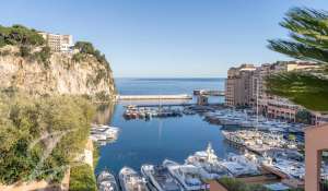 Vente Appartement Monaco