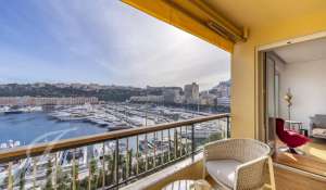 Vente Appartement Monaco