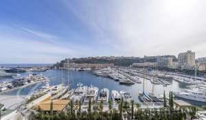 Vente Appartement Monaco