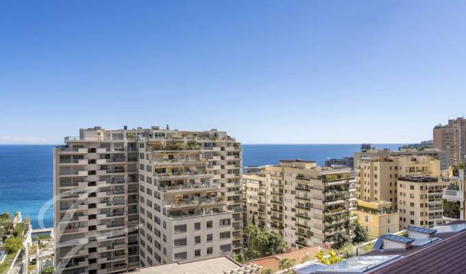 Vente Appartement Monaco