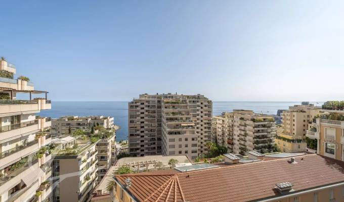 Vente Appartement Monaco