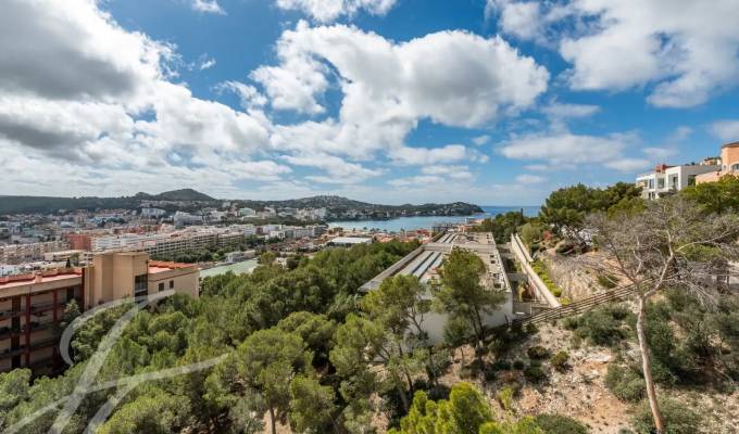 Vente Appartement Santa Ponsa