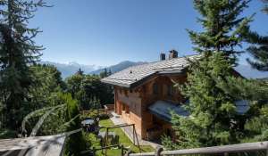 Vente Chalet Crans-Montana