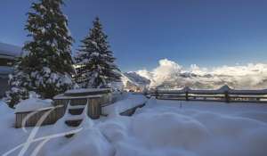 Vente Chalet Haute-Nendaz