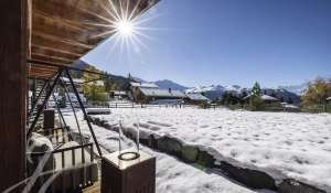 Vente Chalet Verbier