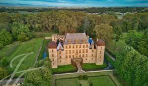 Vente Château Fareins