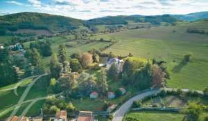 Vente Château Saint-Julien-Molin-Molette