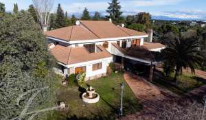 Vente Maison Monteprincipe