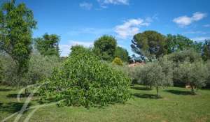 Vente Maison Mougins