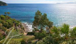 Vente Propriété Rayol-Canadel-sur-Mer