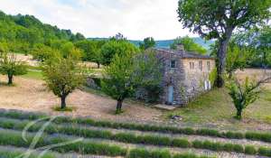 Vente Propriété Saignon