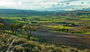 Vente Propriété viticole Cuenca