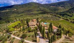 Vente Propriété viticole Greve in Chianti