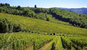 Vente Propriété viticole Greve in Chianti