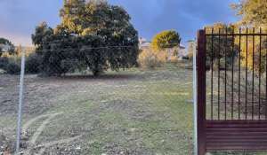 Vente Terrain Boadilla del Monte