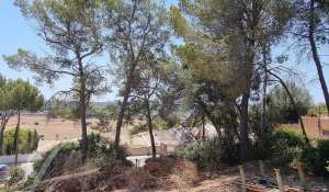 Vente Terrain constructible Costa de la Calma