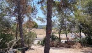 Vente Terrain constructible Costa de la Calma