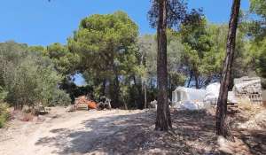 Vente Terrain constructible Costa de la Calma