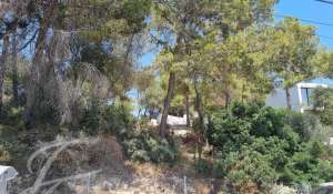 Vente Terrain constructible Costa de la Calma