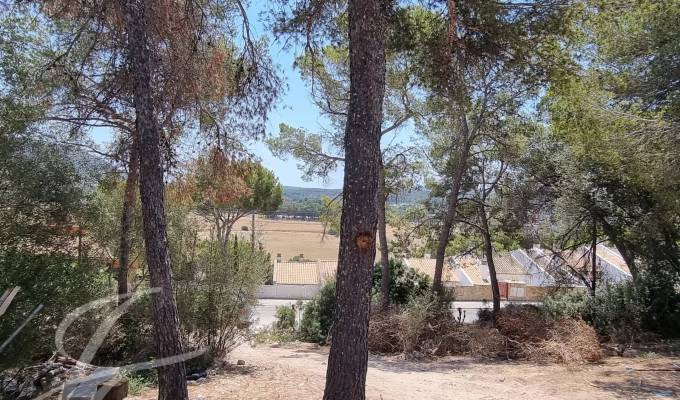 Vente Terrain constructible Costa de la Calma