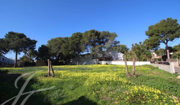 Vente Terrain constructible Palmanova