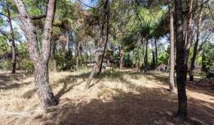 Vente Terrain constructible Pozuelo de Alarcón