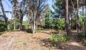 Vente Terrain constructible Pozuelo de Alarcón