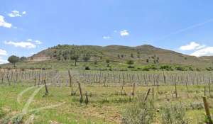 Vente Terrain Cuenca