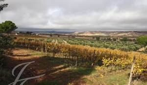 Vente Terrain Cuenca