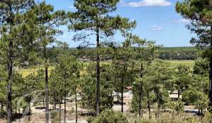 Vente Terrain Grândola