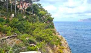 Vente Terrain Santa Ponsa